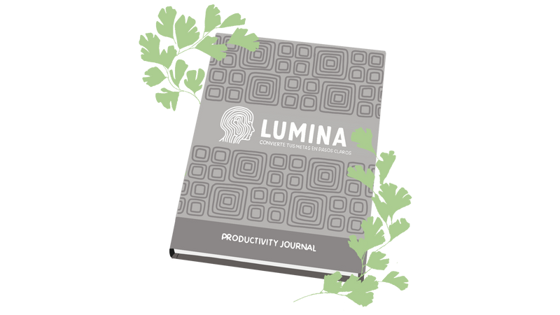 Animación descriptiva